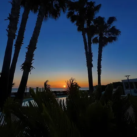 Seba Sicily *