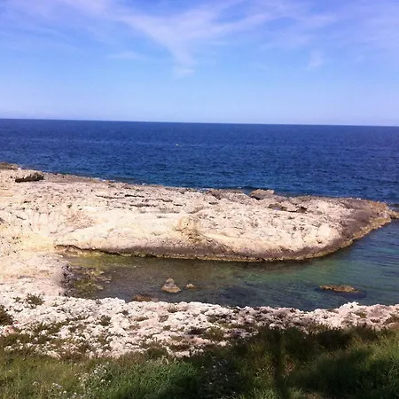 Seba Sicily *